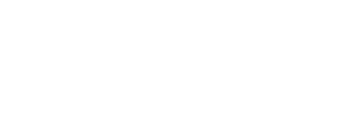 Logo Blanc Nos Patelins